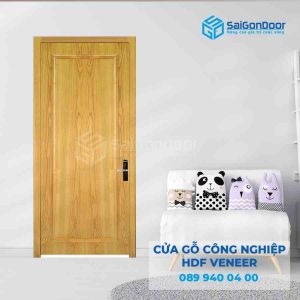 Cửa Gỗ HDF Veneer 1B soi 2