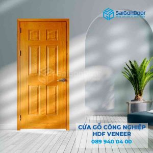 Cửa Gỗ HDF Veneer 6A ash
